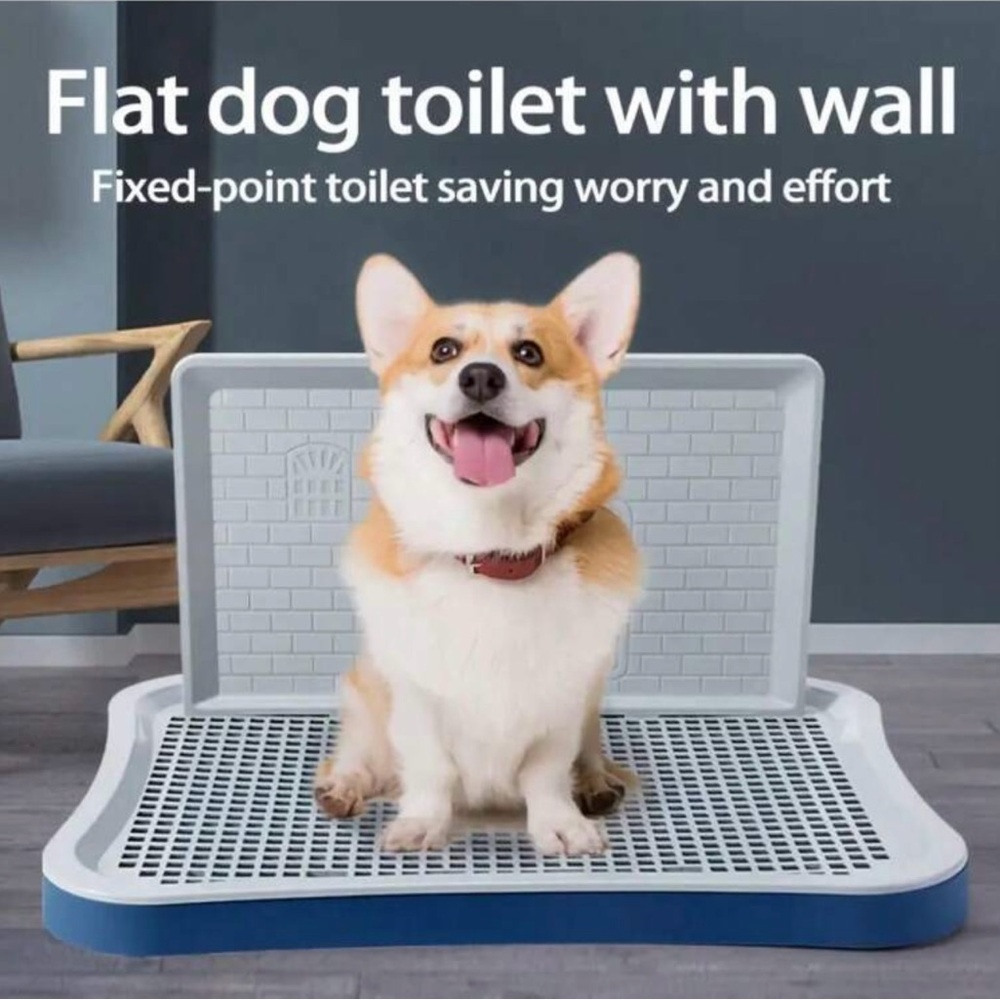 Flat dog toilet with wall
Fixed-point toilet saving worry and effort